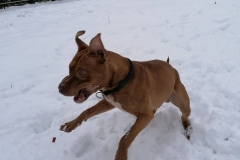 144738933_914347616000666_7744664529600092465_n